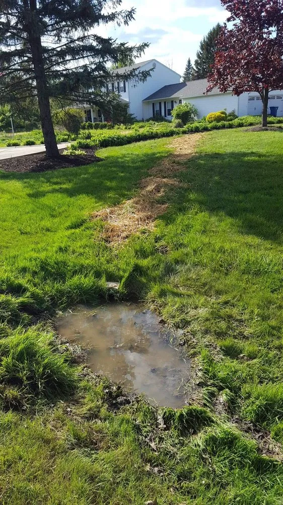 Reliable residential landscaping in Diamond, OH - By the Root Sustainable Landscaping