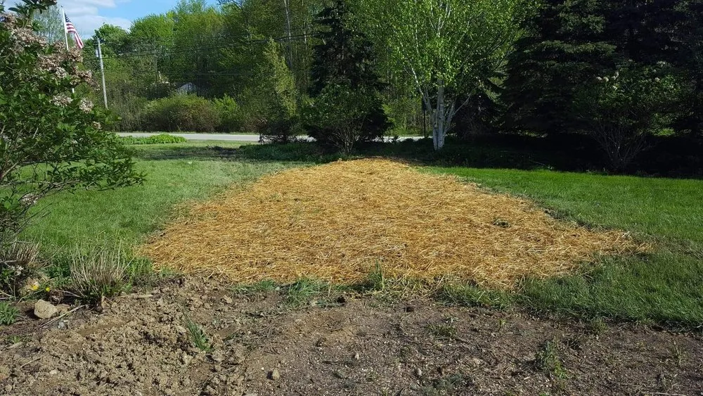 Local yard maintenance in Diamond, OH - By the Root Sustainable Landscaping