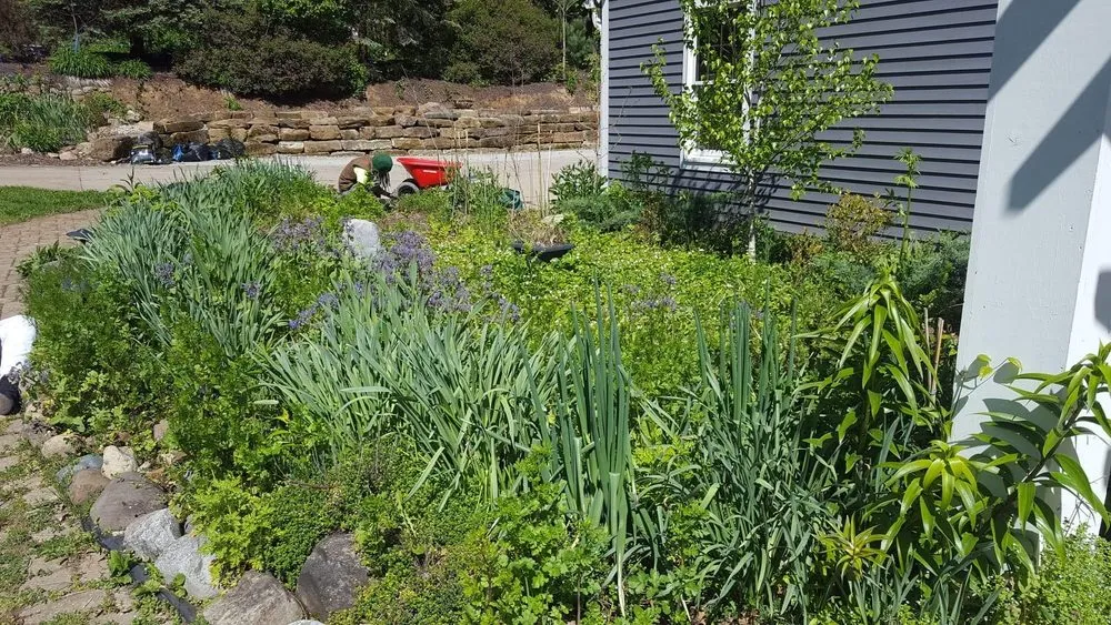 Reliable landscape design in Diamond, OH - By the Root Sustainable Landscaping