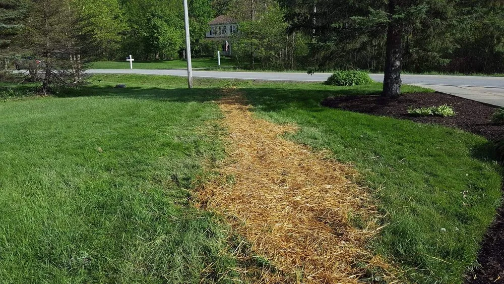Top-rated yard maintenance in Diamond, OH by By the Root Sustainable Landscaping