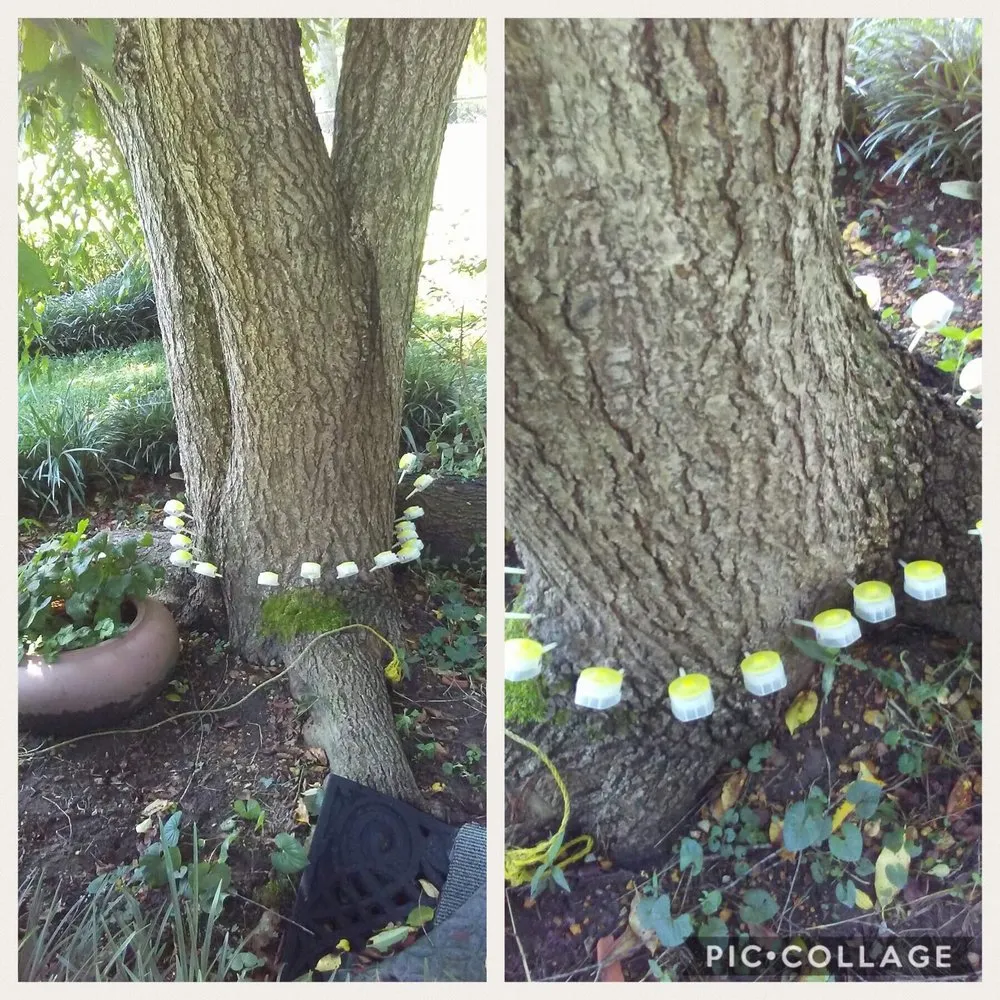 Custom landscape installation experts serving Chattanooga, TN - By The Yard