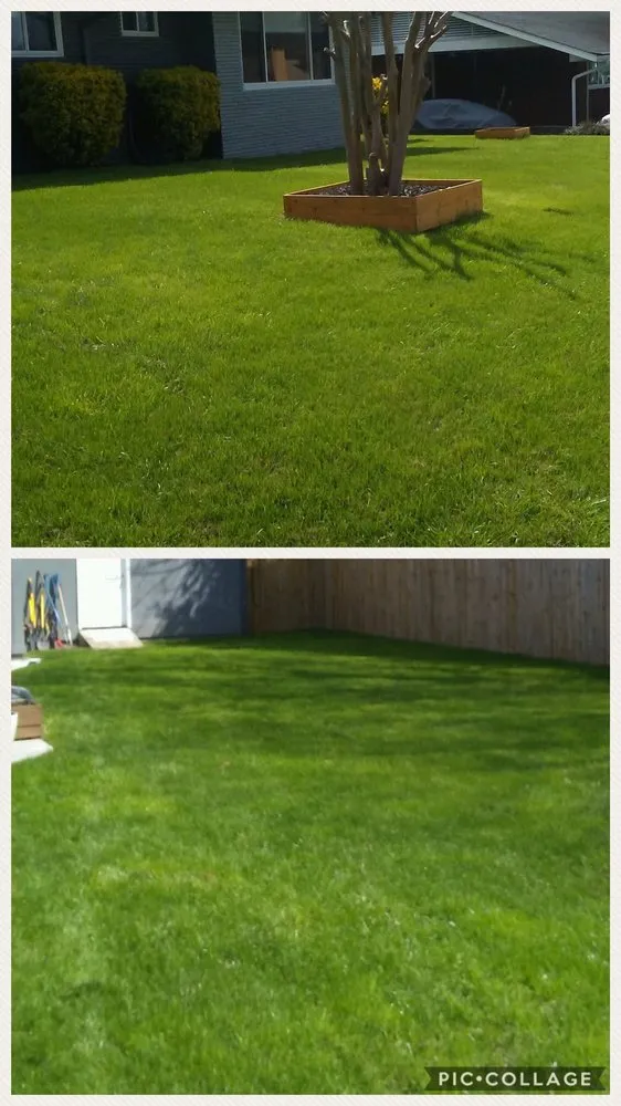 Reliable yard cleanup service in Chattanooga, TN by By The Yard