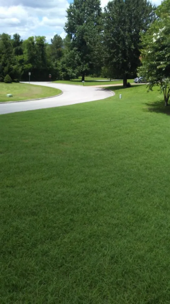 Affordable landscape installation for homes across Chattanooga, TN - By The Yard