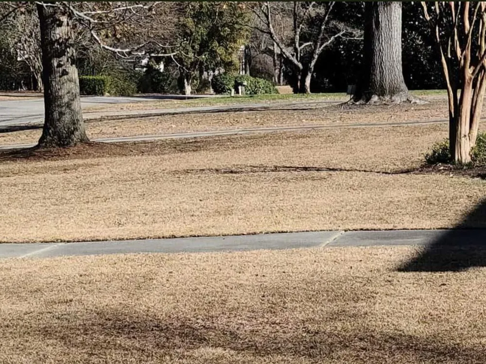 Local landscape installation for homes across Effingham, SC - By The Yard Lawn Care