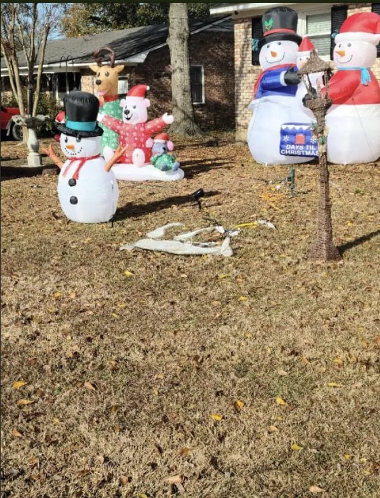 Custom lawn care service for year-round maintenance in Effingham, SC by By The Yard Lawn Care