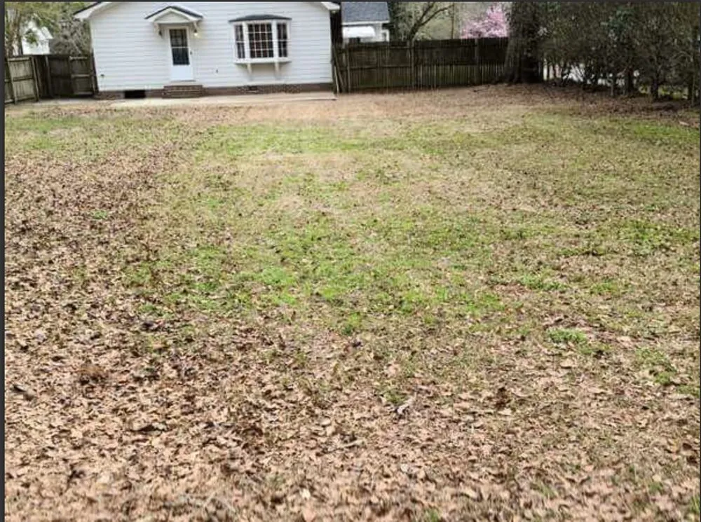 Expert lawn mowing service for outdoor upgrades across Effingham, SC - By The Yard Lawn Care