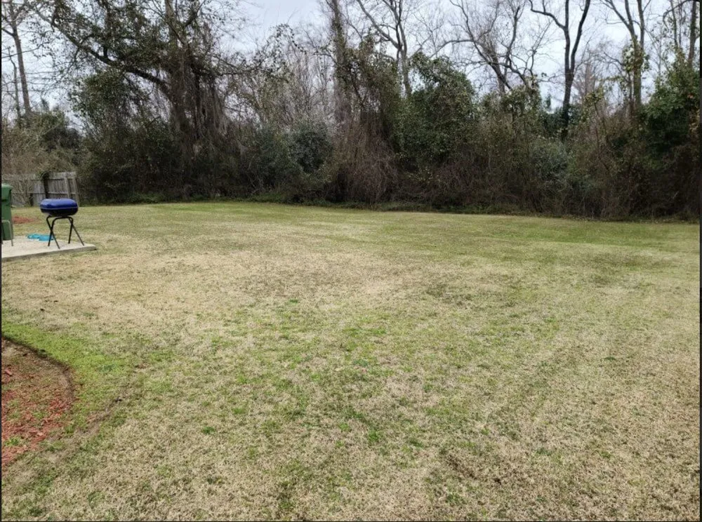 Professional landscape design in Effingham, SC - By The Yard Lawn Care