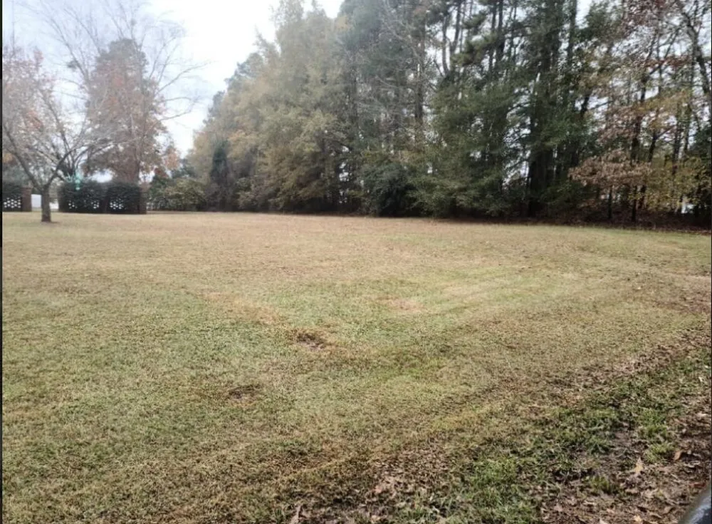 Top-rated lawn care service for year-round maintenance in Effingham, SC by By The Yard Lawn Care