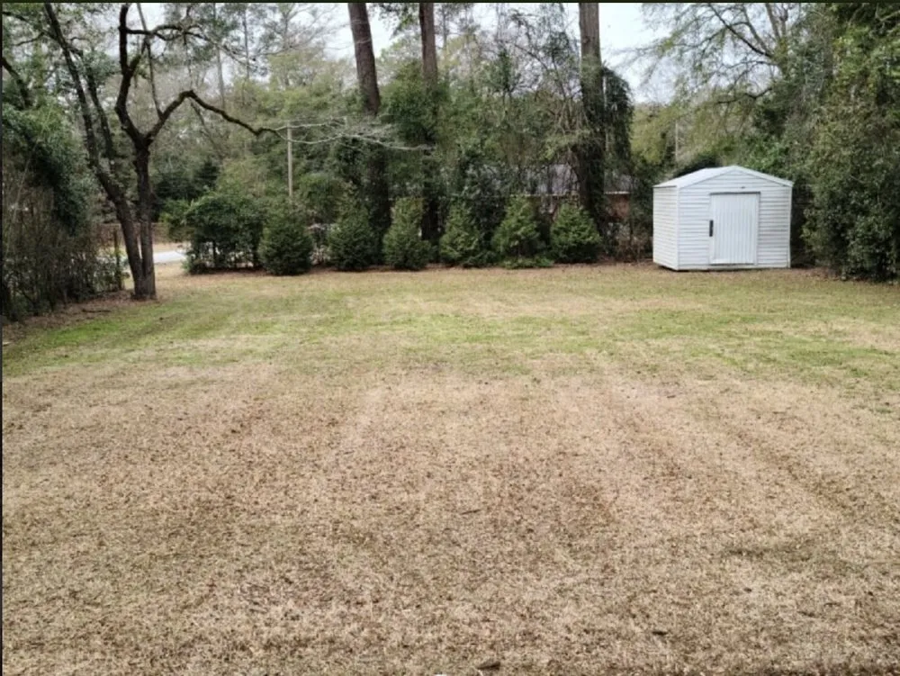 Local residential landscaping in Effingham, SC by By The Yard Lawn Care