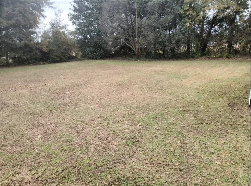 Reliable garden landscaping experts serving Effingham, SC - By The Yard Lawn Care