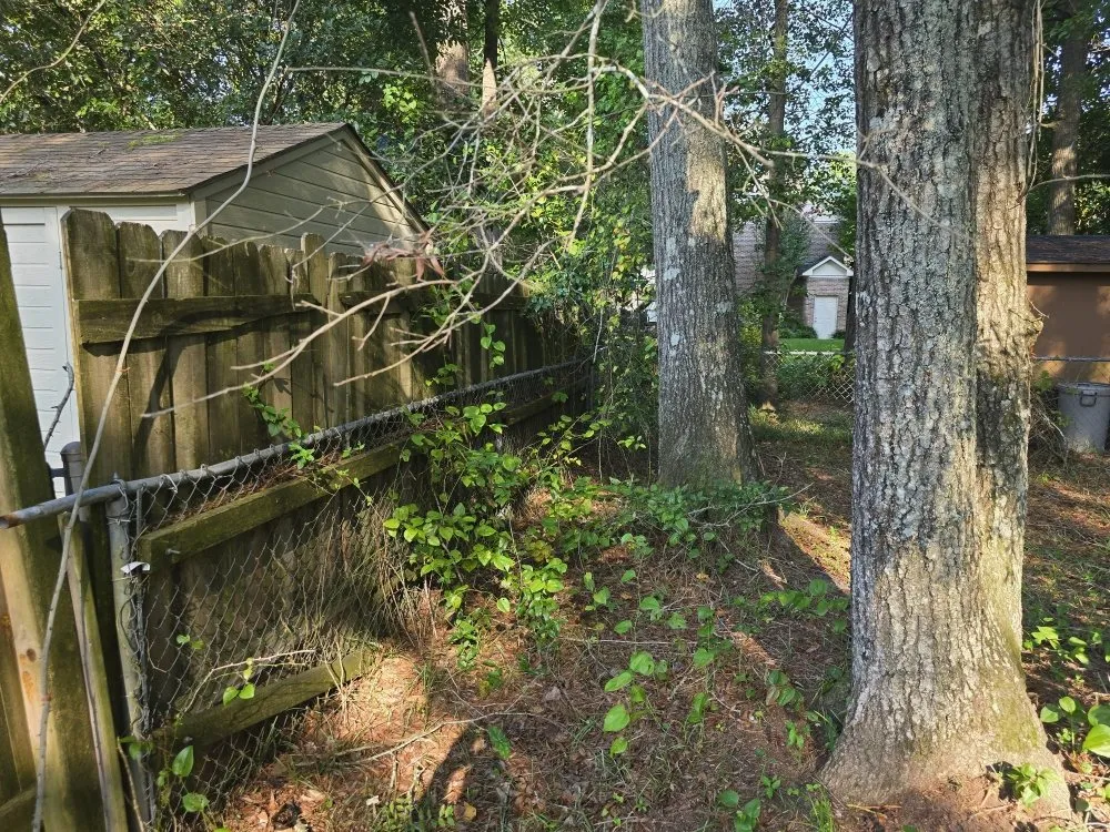 Professional lawn care service for beautiful yards across Effingham, SC - By The Yard Lawn Care