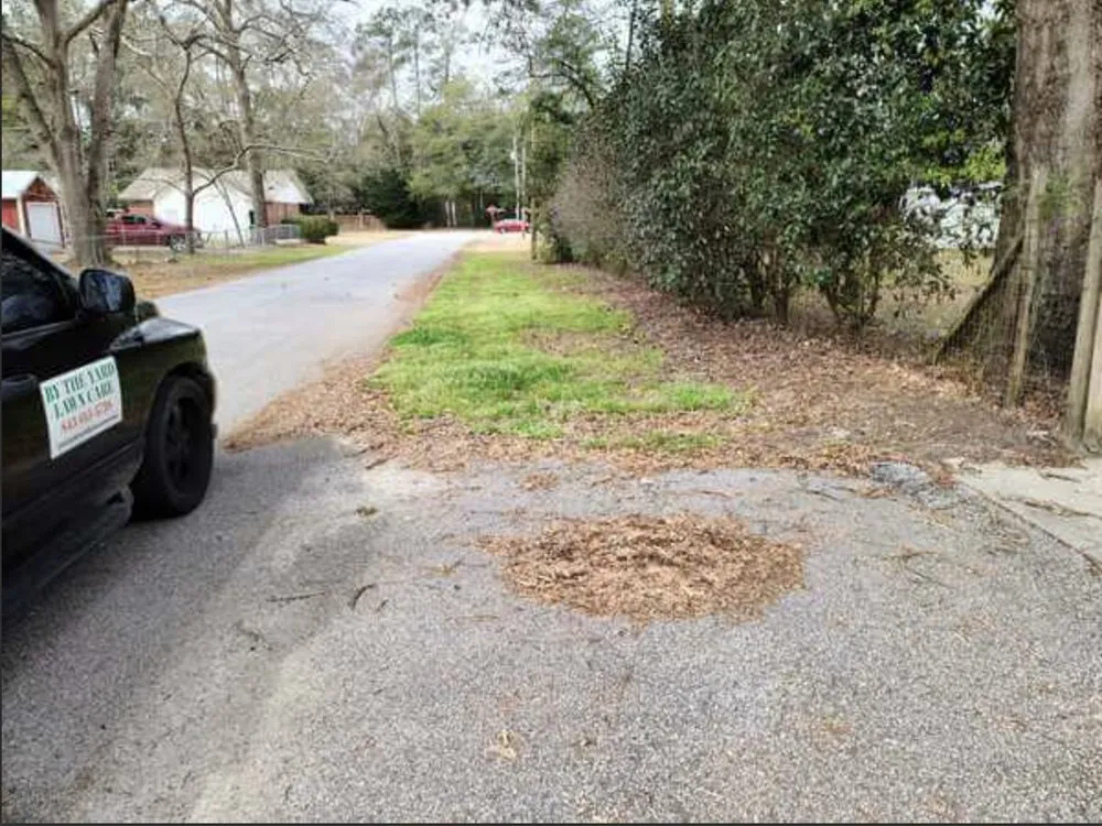 Affordable landscaping services in Effingham, SC by By The Yard Lawn Care