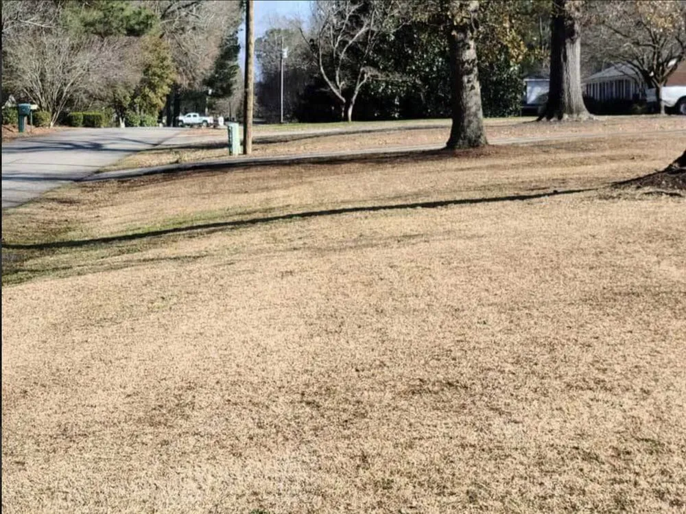 Local residential landscaping in Effingham, SC - By The Yard Lawn Care