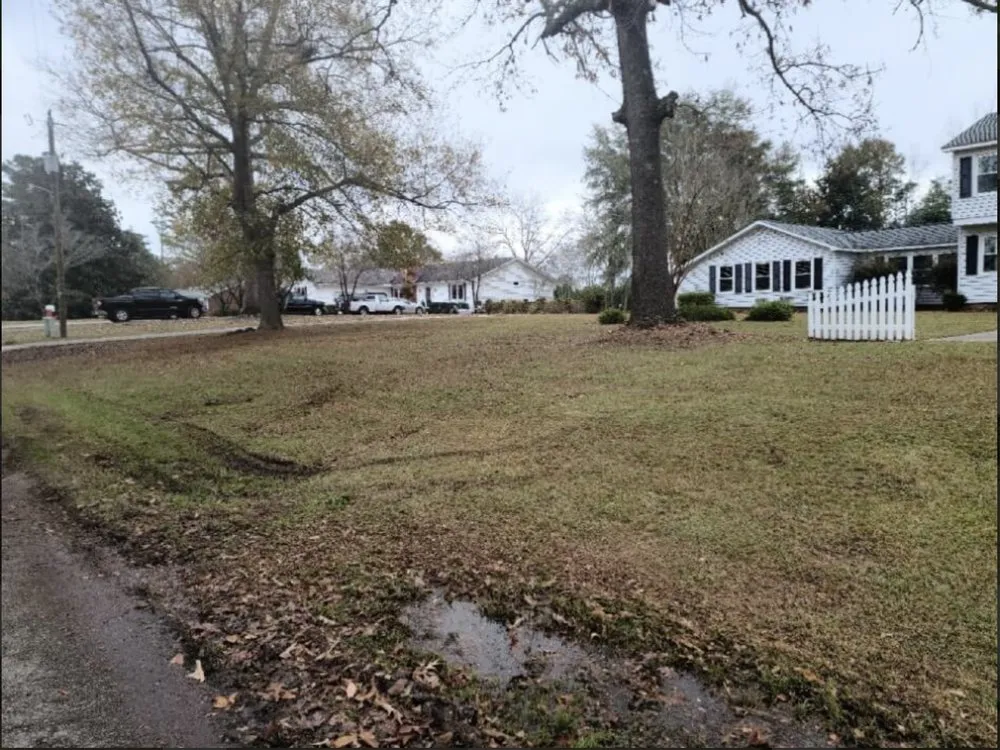 Top-rated outdoor landscaping for homes across Effingham, SC - By The Yard Lawn Care