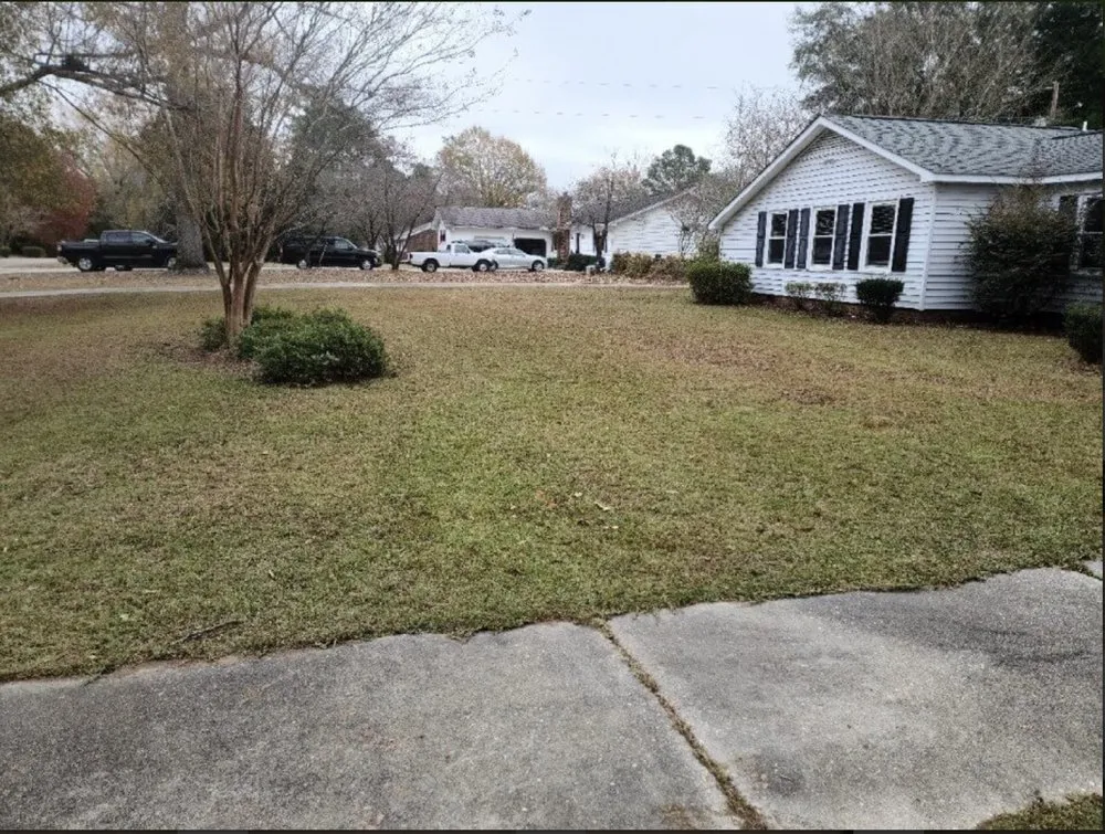 Affordable landscape design for residential properties across Effingham, SC - By The Yard Lawn Care