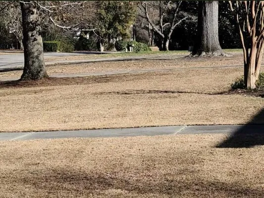 By The Yard Lawn Care Logo