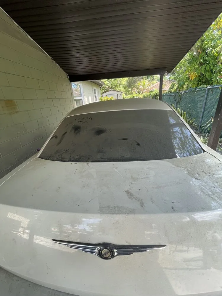 Trusted yard maintenance experts serving Tampa Bay, FL - BYC Landscaping & Pressure Washing