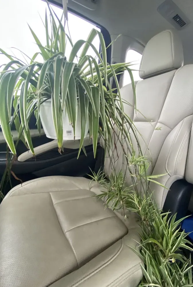 Top-rated outdoor landscaping for year-round maintenance in Lambertville, NJ by Bye-Way Gardens