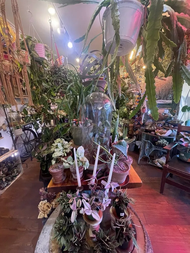 Trusted lawn care service for homes across Lambertville, NJ - Bye-Way Gardens