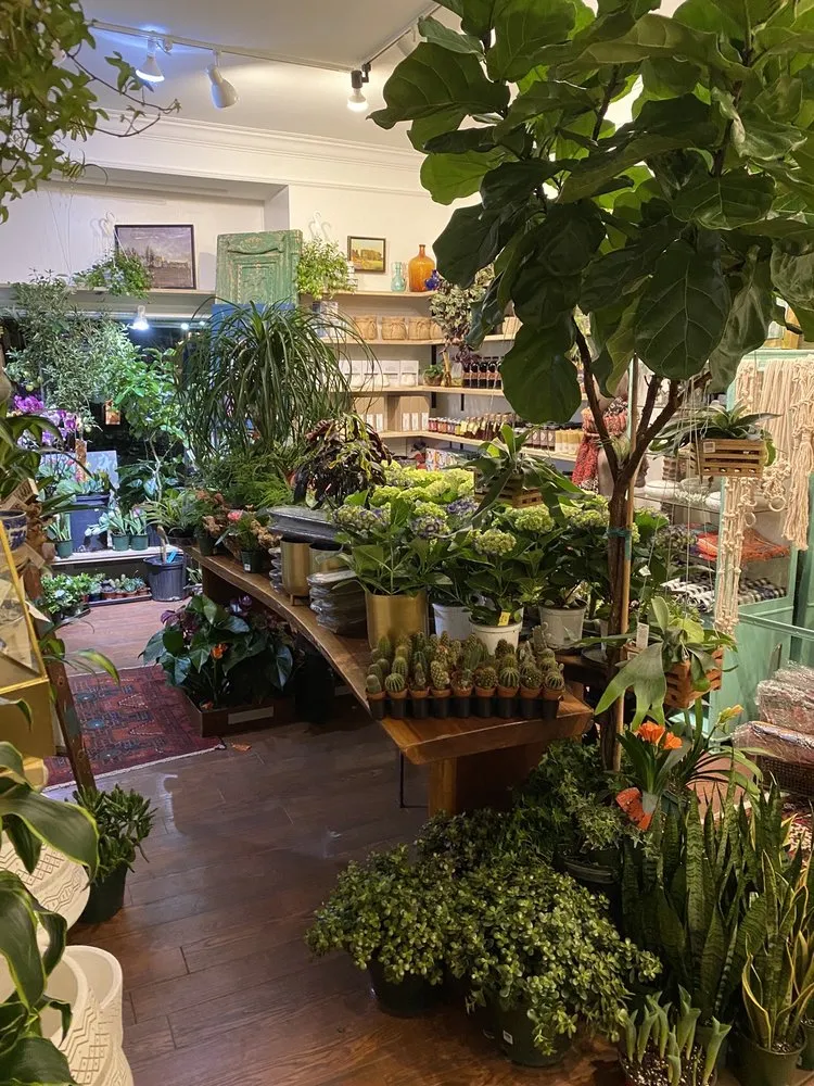 Trusted yard maintenance for residential properties in Lambertville, NJ by Bye-Way Gardens