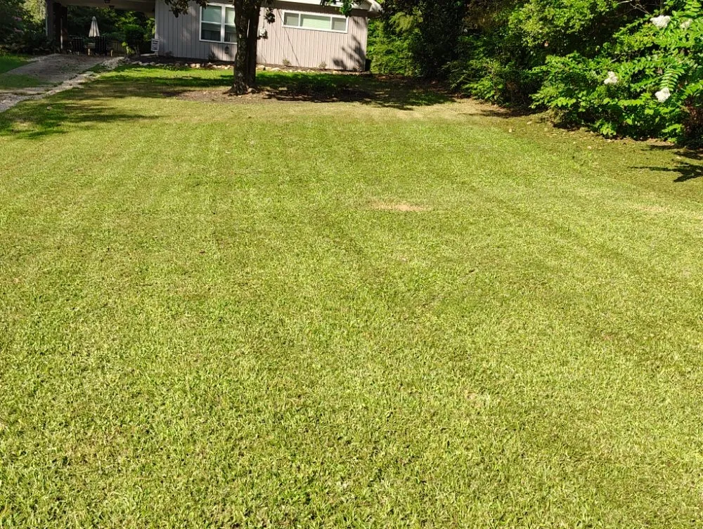 Local lawn care service near you in Cusseta, AL by Byers Affordable Lawn Care