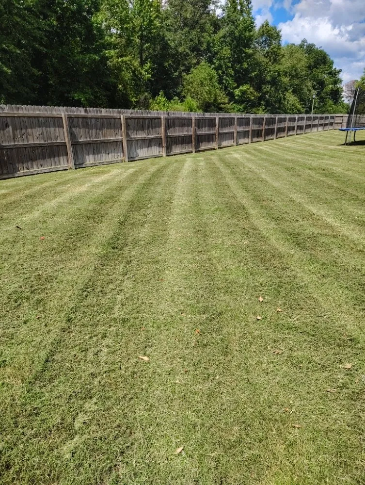 Top-rated yard cleanup service in Cusseta, AL - Byers Affordable Lawn Care