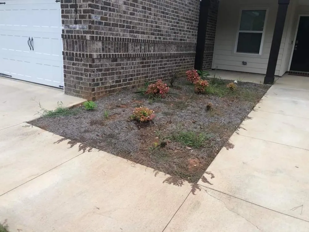 Reliable residential landscaping in Cusseta, AL - Byers Affordable Lawn Care