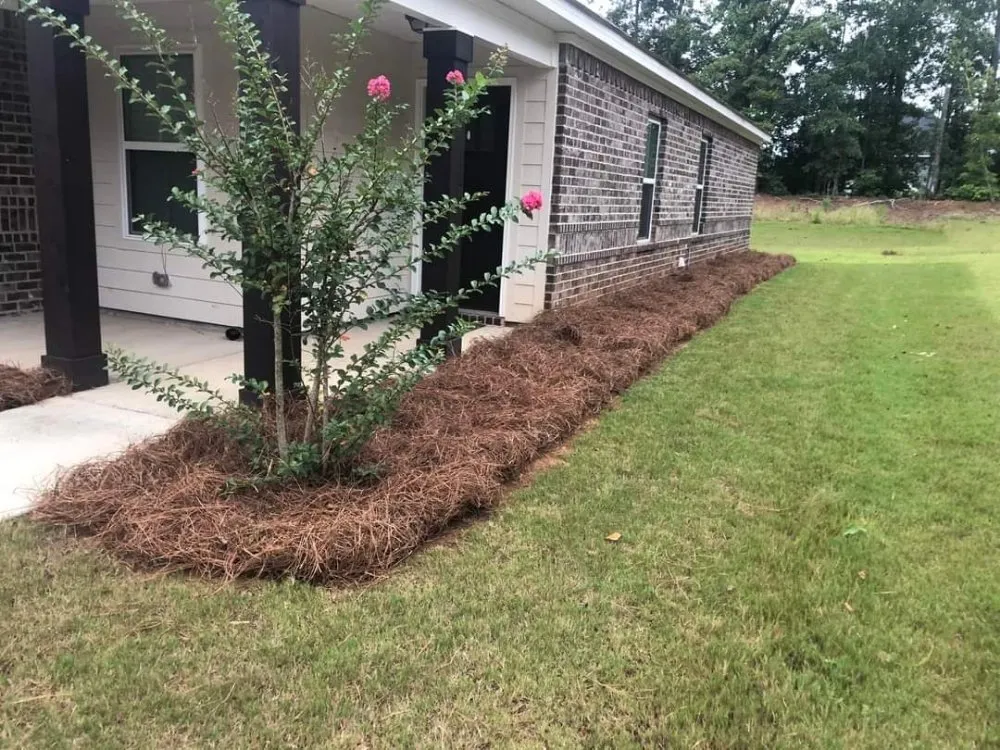 Custom yard cleanup service experts serving Cusseta, AL - Byers Affordable Lawn Care