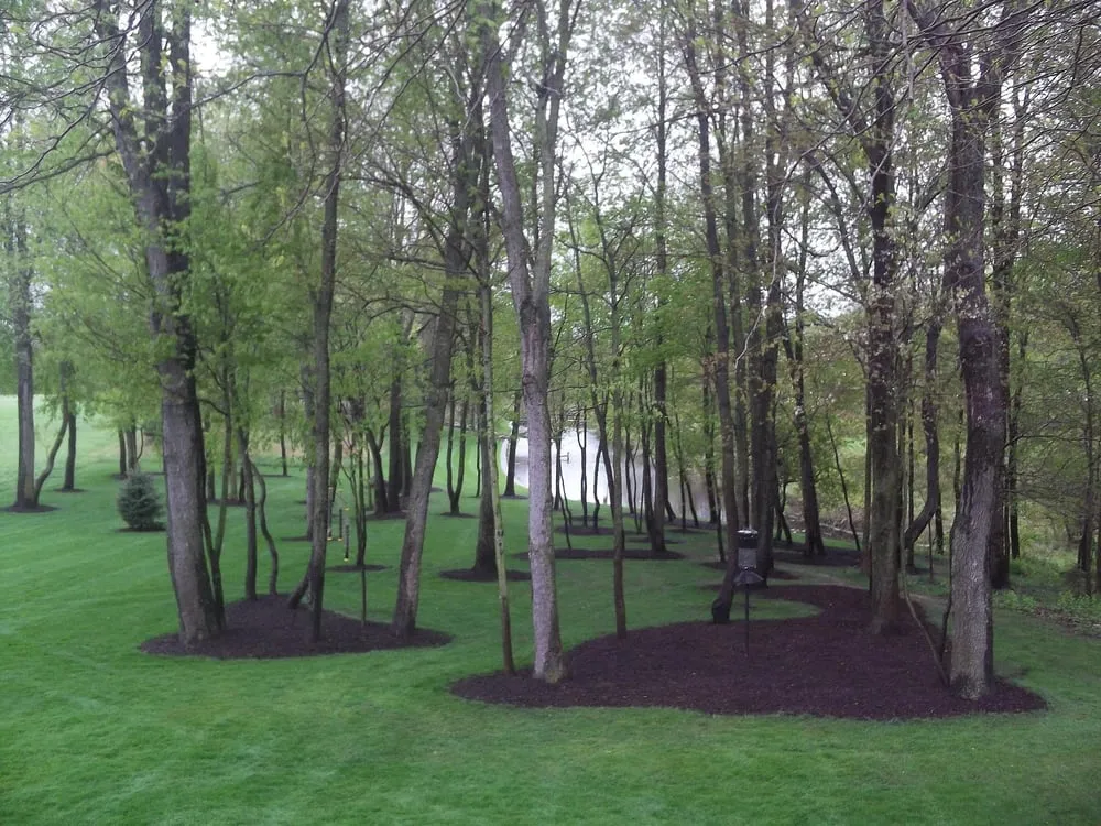 Reliable yard maintenance in Caledonia, MI by Bykerk Landscape Management