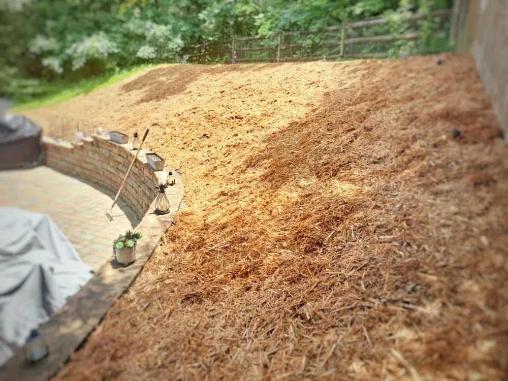 Professional landscape installation in Concord, NC by BYLT Management