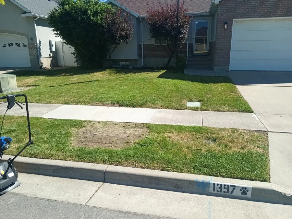 Top-rated landscape design experts serving Morgan, UT - Byrd & Sons Estate Care