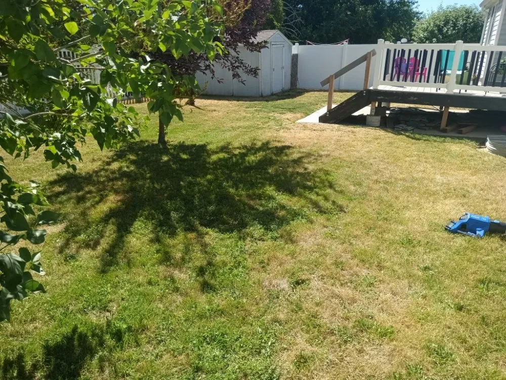 Top-rated yard maintenance in Morgan, UT - Byrd & Sons Estate Care