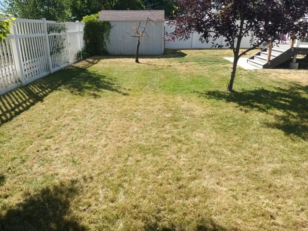 Local landscaping services in Morgan, UT by Byrd & Sons Estate Care