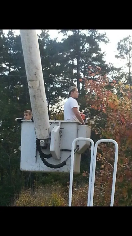 Affordable landscape design in Dallas, NC - Byrd Brothers Tree Service