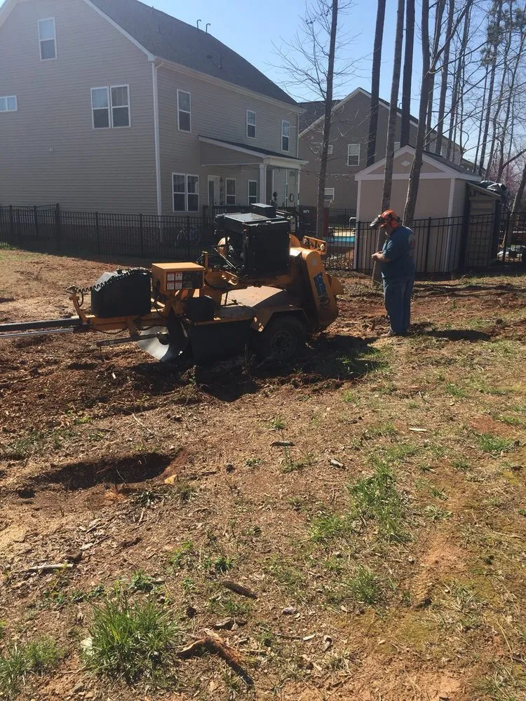 Local landscape installation in Dallas, NC by Byrd Brothers Tree Service