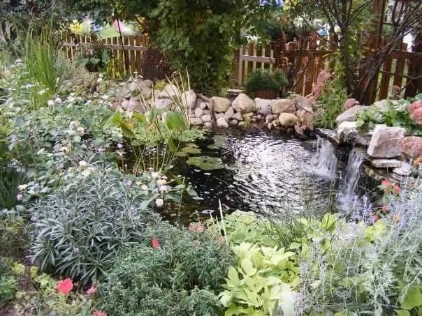 Reliable lawn care service in Geneva, IL by Byrd Ponds