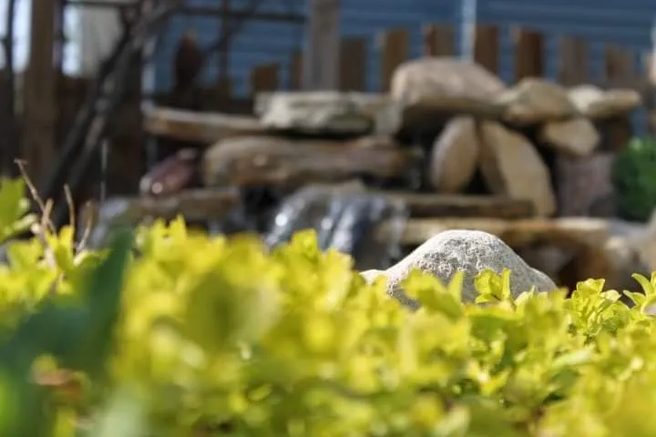 Expert garden landscaping in Geneva, IL - Byrd Ponds