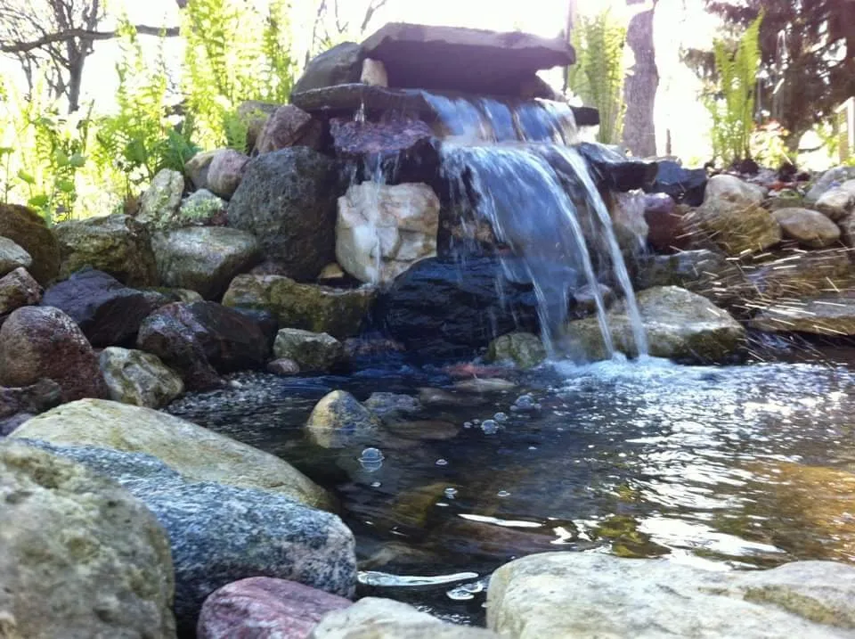 Custom residential landscaping in Geneva, IL by Byrd Ponds