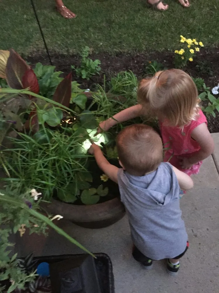 Affordable lawn care service for outdoor upgrades across Geneva, IL - Byrd Ponds