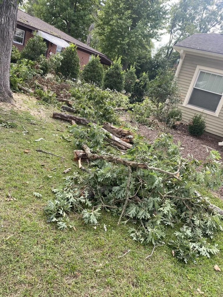 Top-rated outdoor landscaping in Four Oaks, NC - Byrds Elite Lawn Care & Landscaping