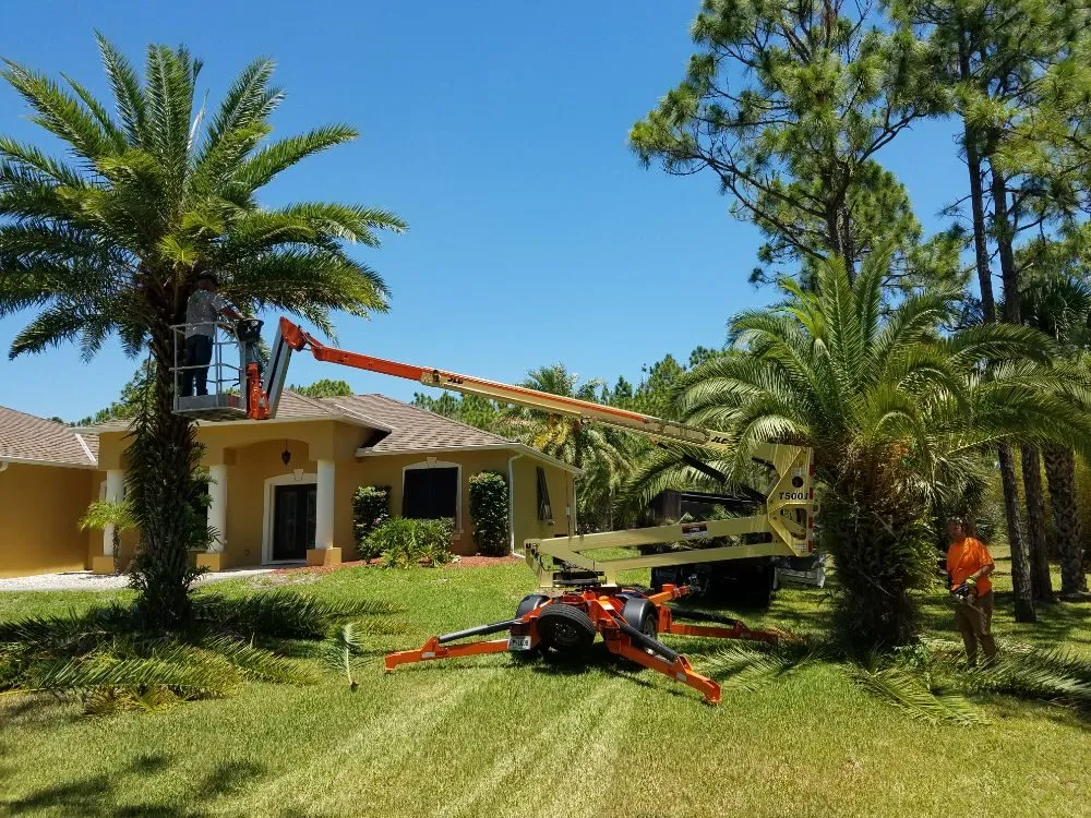 Top-rated landscape installation near you in Melbourne, FL by Byrd's Lawn & Landscape