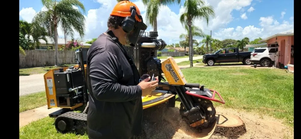 Trusted yard cleanup service with custom design across Melbourne, FL - Byrd's Lawn & Landscape