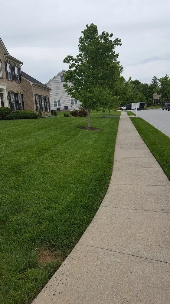 Custom landscape installation in Plymouth Meeting, PA - Byrne Brad Complete Lawn Maintenance