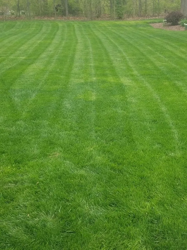 Expert landscaping services in New Albany, OH by Byrnes Property Service