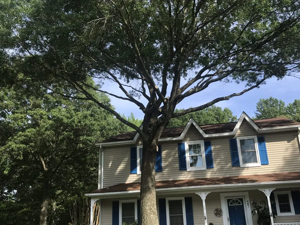 Expert lawn care service in Annapolis, MD - Byron & Son Landscaping