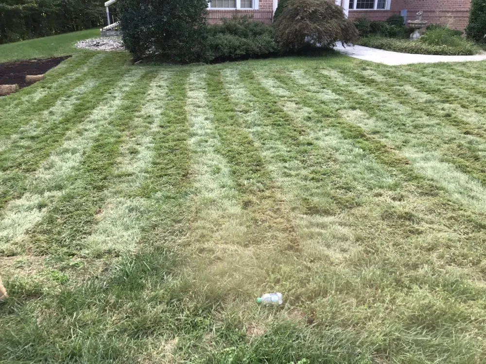 Top-rated landscape design in Annapolis, MD by Byron & Son Landscaping