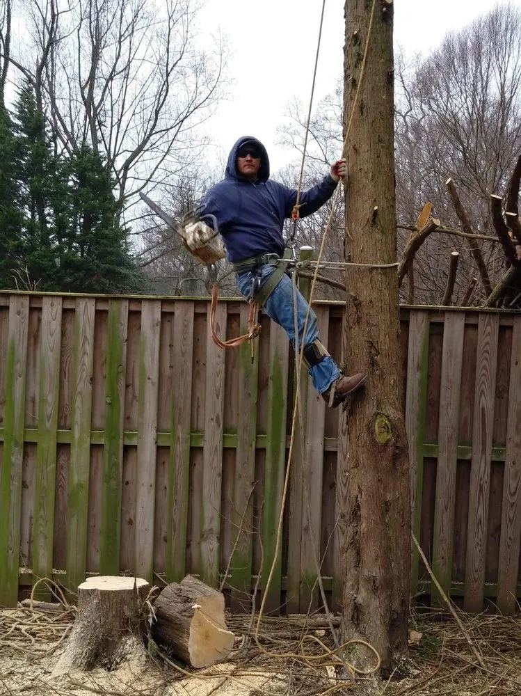 Expert garden landscaping in Annapolis, MD by Byron & Son Landscaping