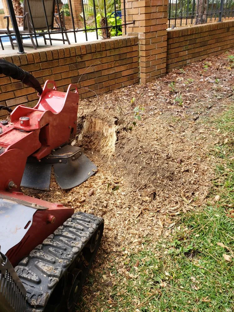 Top-rated landscaping services for outdoor upgrades across Ridgeway, SC - Byron Hanna Lawn and Tractor