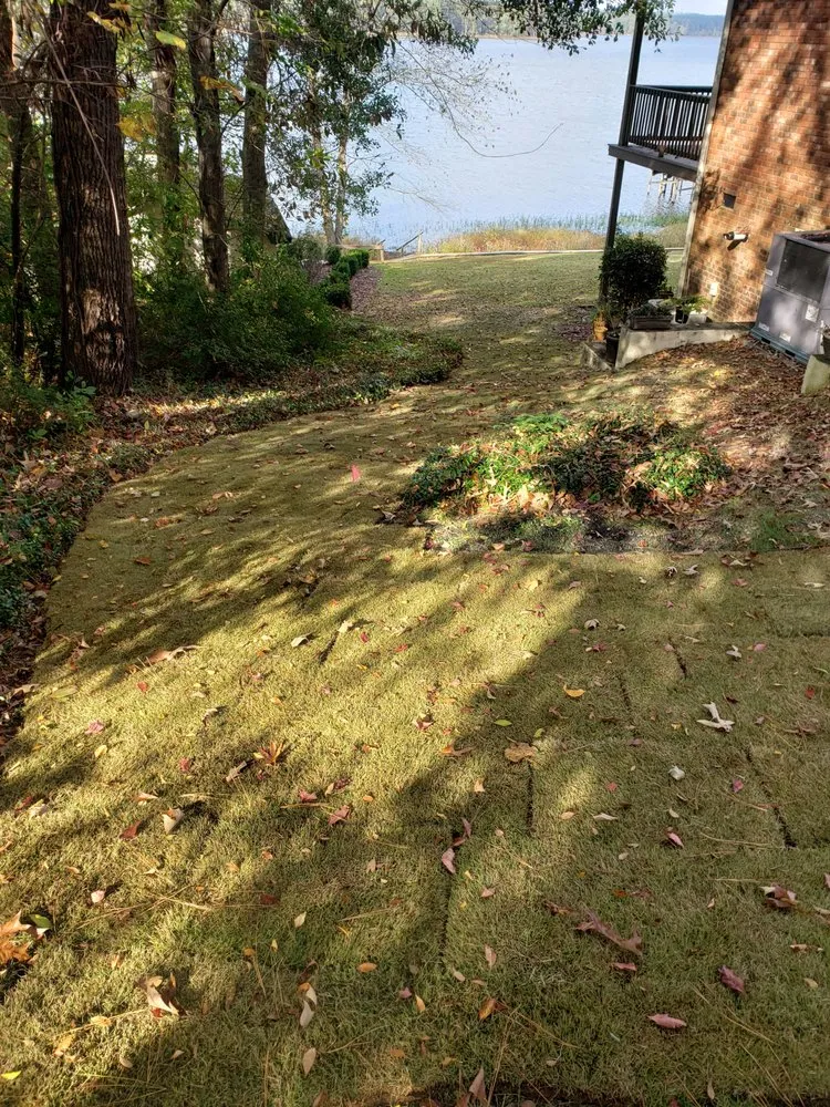 Custom yard maintenance in Ridgeway, SC by Byron Hanna Lawn and Tractor