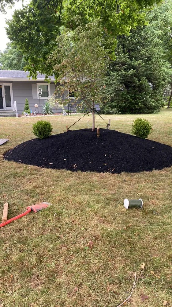 Reliable lawn mowing service in Trenton, NJ - Byron’s G Landscaping